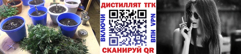 ТГК концентрат Игра